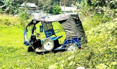 ইজিবাইক খাদে পড়ে প্রাণ গেল কলেজছাত্রের