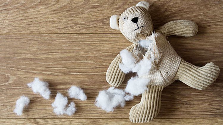 গাজায় মৃত্যুর ‘গুরুতর’ ঝুঁকিতে অন্তত ২ হাজার ৫০০ শিশু