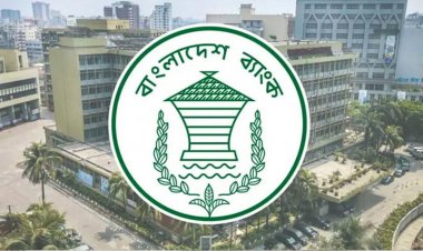 ঋণ তথ্য ব্যুরো : ভুল তথ্য দিলে জরিমানা ৫ লাখ, শাস্তি পাবেন তথ্যদাতা