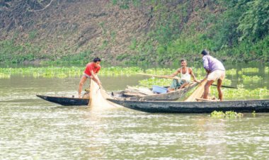 মাছ শিকারি 'জেলে'