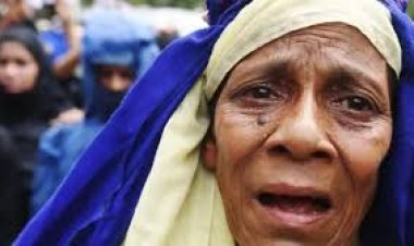 রোহিঙ্গা বিদ্রোহীদের বিরুদ্ধে যুদ্ধাপরাধের অভিযোগ, জবাবদিহি চায় ফরটিফাই রাইট