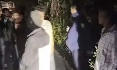 বরগুনায় সড়কে গাছ ফেলে বাস-ট্রাকে ডাকাতি