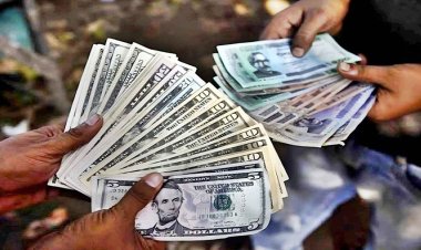 প্রবাসী আয়ের রেকর্ড