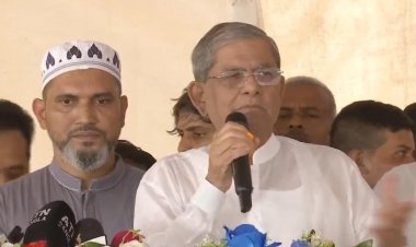 প্রয়োজনে আবারও রাজপথে নামবে বিএনপি : মির্জা ফখরুল