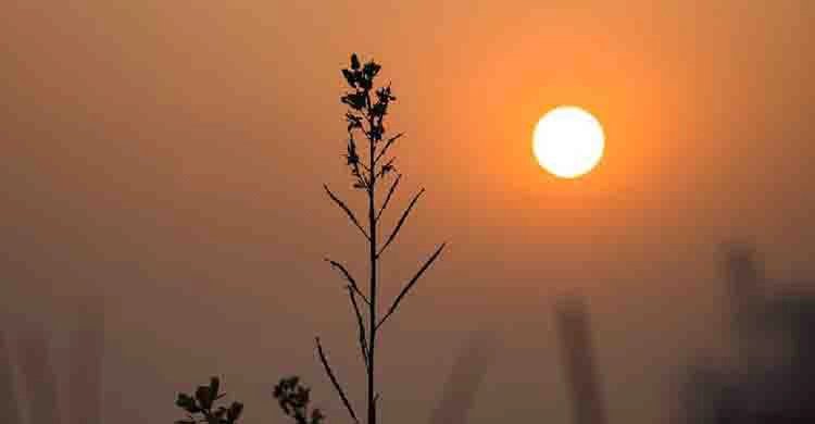  রাতের তাপমাত্রা সামান্য কমতে পারে
