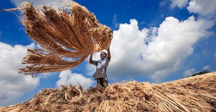  জাতীয় পাট দিবস আজ