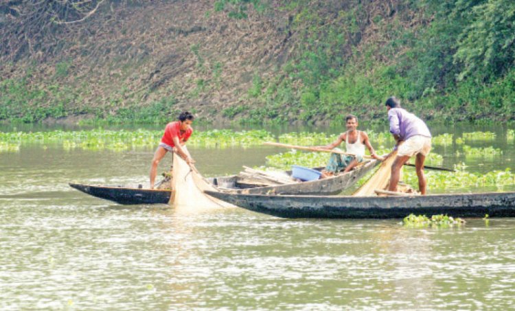 মাছ শিকারি 'জেলে'