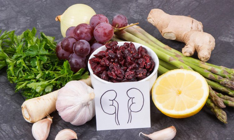 কিডনি সুস্থ রাখার উপায়