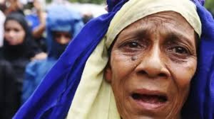 রোহিঙ্গা বিদ্রোহীদের বিরুদ্ধে যুদ্ধাপরাধের অভিযোগ, জবাবদিহি চায় ফরটিফাই রাইট