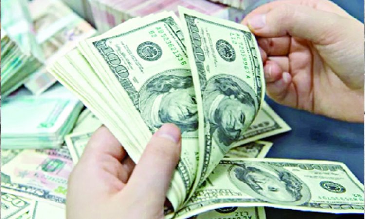 ২৪ দিনেই প্রবাসী আয়ে ভাঙল মাসের রেকর্ড