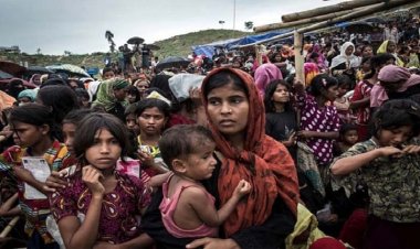 ১ লাখ ৮০ হাজার রোহিঙ্গা ফেরত নিতে রাজি মিয়ানমার