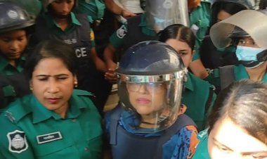 ট্রাইব্যুনালের সাবেক প্রসিকিউটর তুরিন আফরোজ ৪ দিনের রিমান্ডে