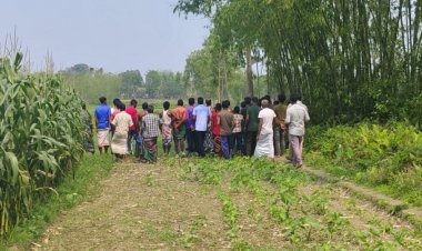সীমান্তে বাংলাদেশীকে ধরে নিয়ে চোখে গুলি করলো বিএসএফ