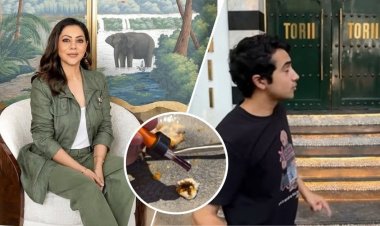 গৌরির রেস্তোরাঁয় নকল পনির বিক্রির অভিযোগ, চ্যালেঞ্জ কর্তৃপক্ষের