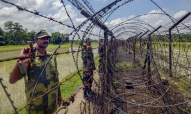 পাঁচ বছরে বিএসএফের হাতে ১৫১ বাংলাদেশি নিহত