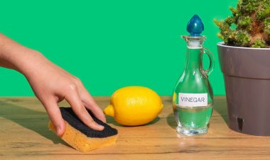 ঘর পরিষ্কারে ভিনেগারের অসাধারণ ব্যবহার