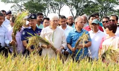 বোরো ধানের ফলন সন্তোষজনক: কৃষি উপদেষ্টা