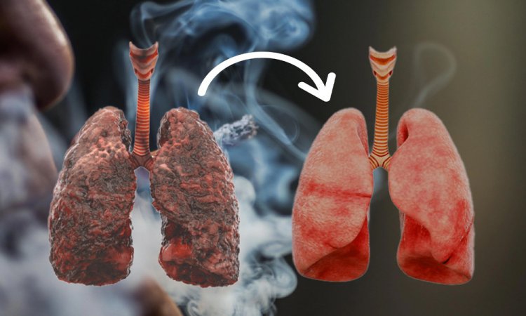 ফুসফুস ভালো থাকবে যেসব উপায়ে