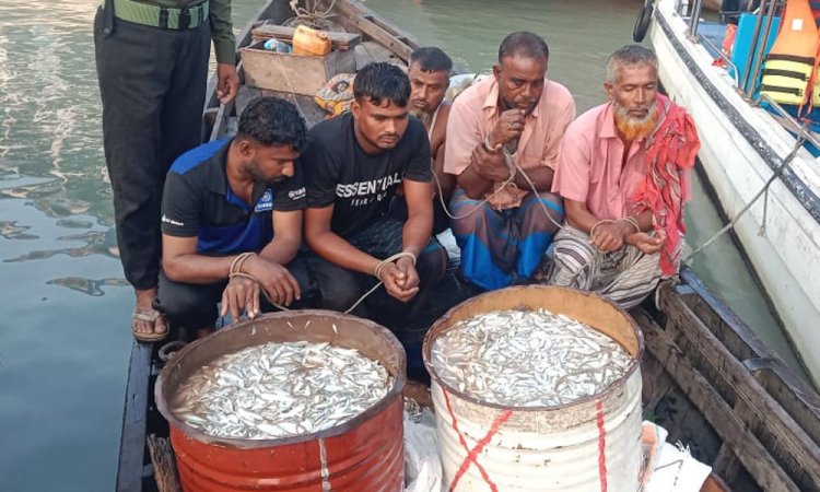 বরিশালে জাটকা অভিযানে হামলা, ৫ জেলে আটক
