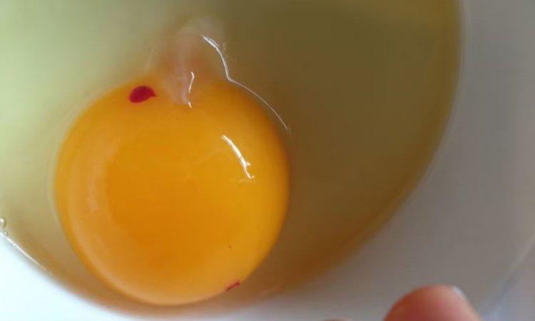 ডিমের কুসুমে দাগ থাকলে কি খাওয়া যায়?