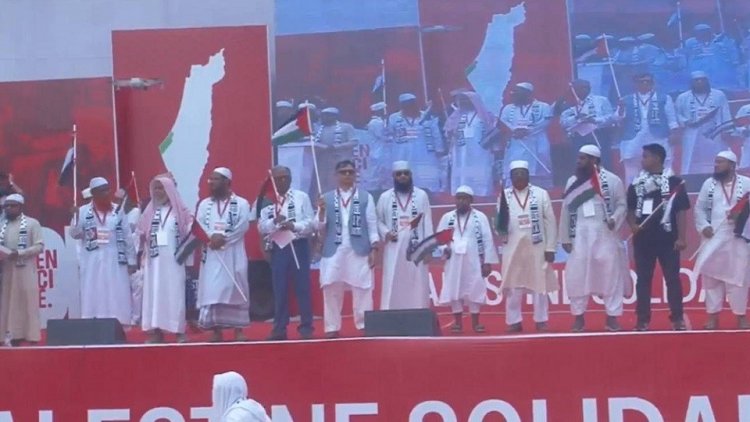 সালাহউদ্দিনের নেতৃত্বে ‘মার্চ ফর গাজা’য় বিএনপি