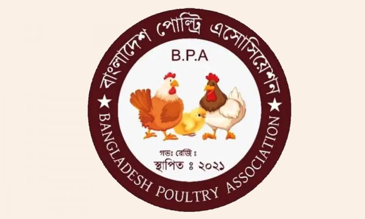 মে থেকে সারা দেশে ডিম-মুরগির উৎপাদন বন্ধ ঘোষণা