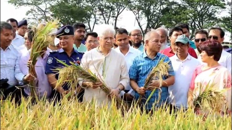 বোরো ধানের ফলন সন্তোষজনক: কৃষি উপদেষ্টা