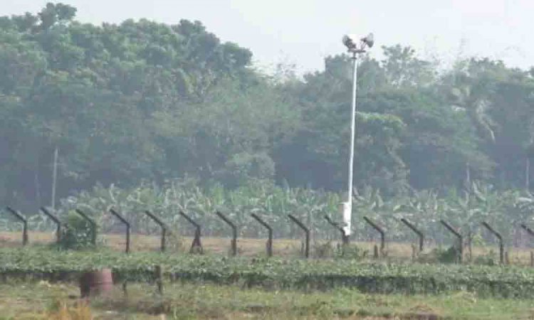 মহেশপুর সীমান্তে বিএসএফের গুলিতে ২ বাংলাদেশি নিহত