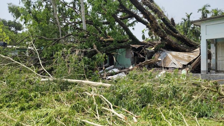 লালমনিরহাটে ঝড়ে লণ্ডভণ্ড শতাধিক বসতবাড়ি, বজ্রপাতে আহত ৬