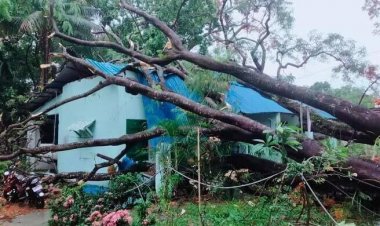  চলতি মাসে ৮ দিন কালবৈশাখীর আভাস