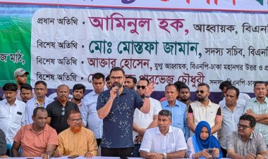 বাংলাদেশের মানুষ ভোট দিতে চায়: আমিনুল হক