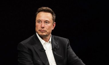 ইলন মাস্ককে সরকারি কাজ থেকে বাদ দেওয়ার দাবি বহু মার্কিন ভোটারের