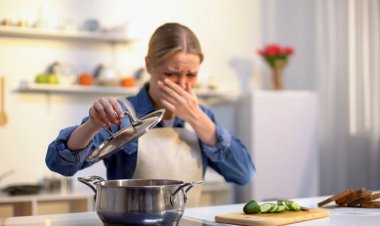 গরমে খাবার দ্রুত নষ্ট হয়ে যায়? রইল সমাধান