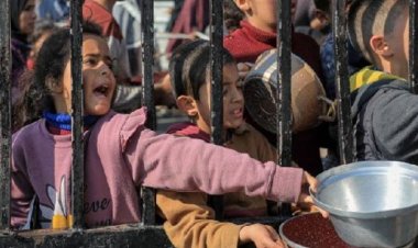 ‘সাহায্য না পৌঁছালে আগামী ৪৮ ঘণ্টার মধ্যে গাজায় ১৪,০০০ শিশুর মৃত্যু হতে পারে’