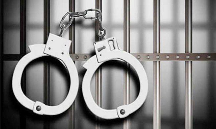 রাজধানীতে সাবেক এমপি মিলনসহ গ্রেপ্তার ৯