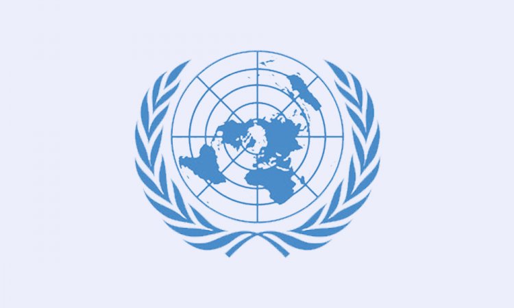 জাতিসংঘের নিরাপত্তা পরিষদকে যে বার্তা পাঠাল পাকিস্তান