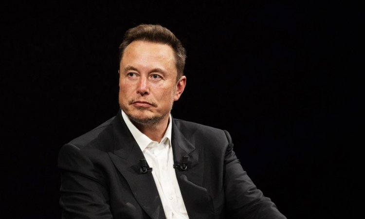 ইলন মাস্ককে সরকারি কাজ থেকে বাদ দেওয়ার দাবি বহু মার্কিন ভোটারের