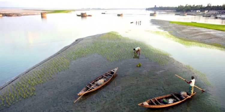 পশ্চিমবঙ্গে আত্রাই নদীর বাঁধ ফের ভেঙে পড়েছে, প্রভাব পড়তে পারে বাংলাদেশে