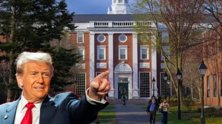 বিদেশি শিক্ষার্থীরা ভর্তি হতে পারবে হার্ভার্ডে, ট্রাম্পের সিদ্ধান্ত আদালতে স্থগিত