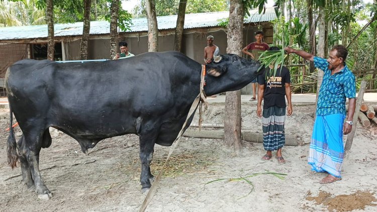 বীর বাহাদুরের দাম চাওয়া হচ্ছে ৯ লাখ